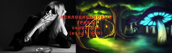 прущие крисы Алексеевка