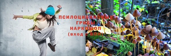 прущие крисы Алексеевка