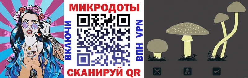 Псилоцибиновые грибы MAGIC MUSHROOMS  продажа наркотиков  Данков 